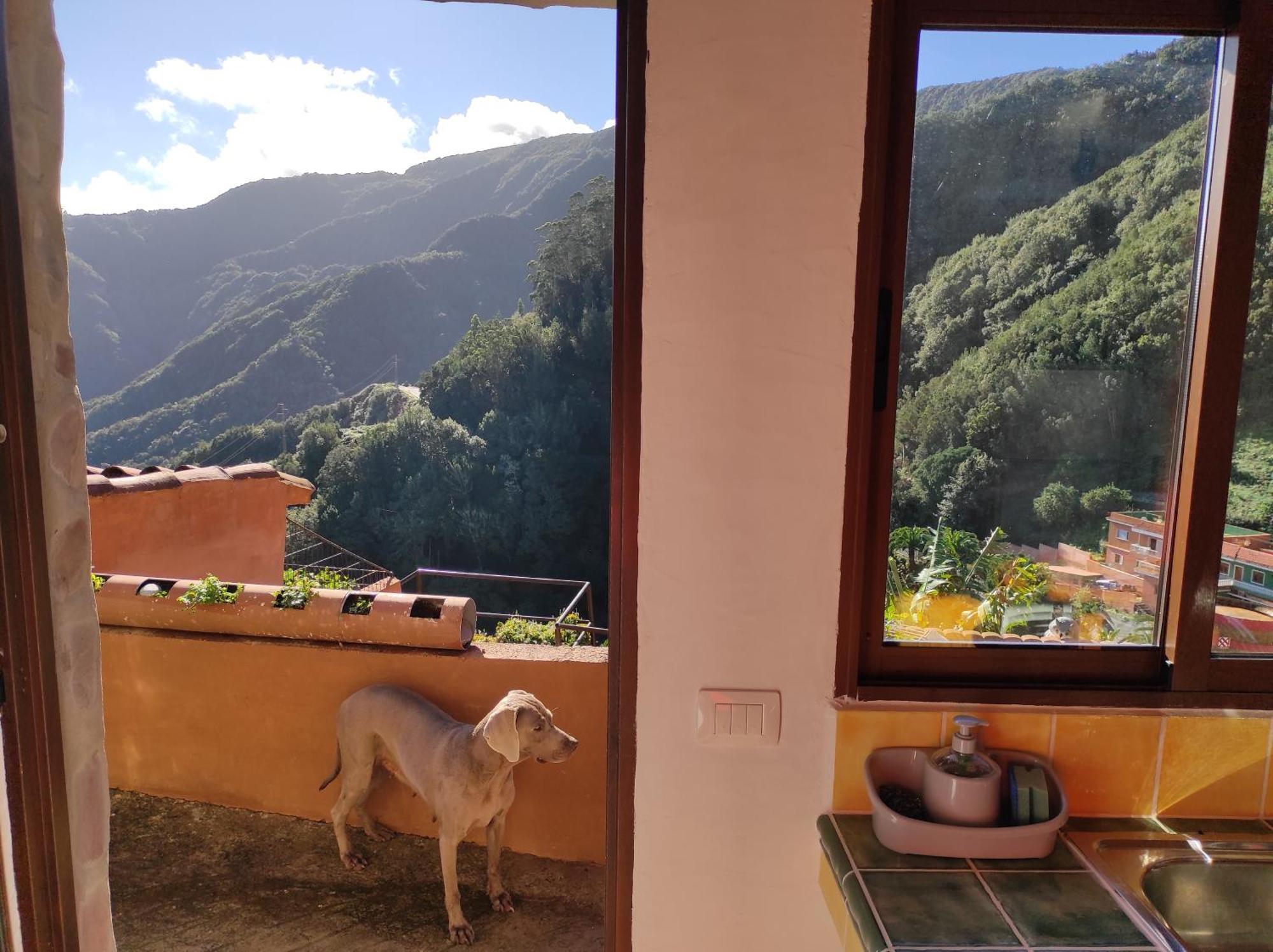 Casa Las Montanas De Anaga Lägenhet La Laguna  Exteriör bild